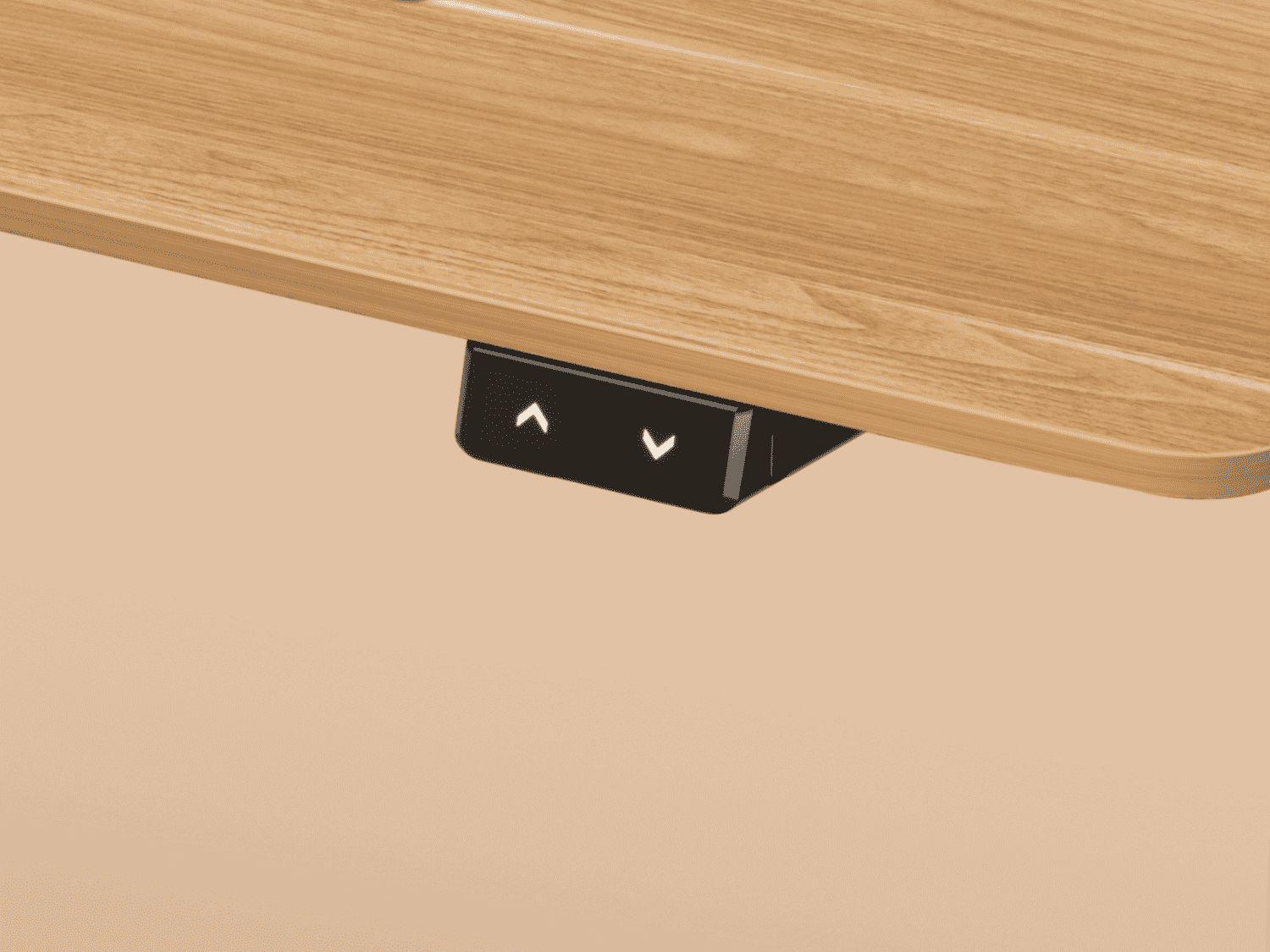 Integrated Control Box | Single / Dual Motor